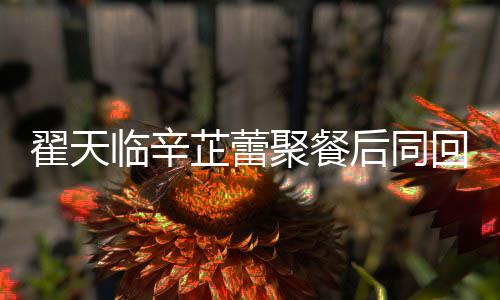 感情翟天翟天临辛临辛芷蕾芷蕾怎么样后同回爱巢 聚餐