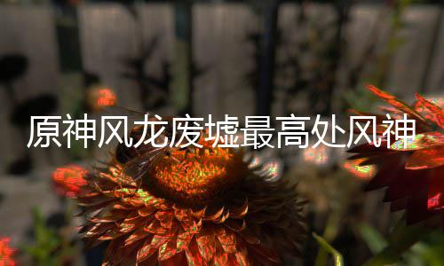 攻略最高原神神瞳收集处风风龙废墟
