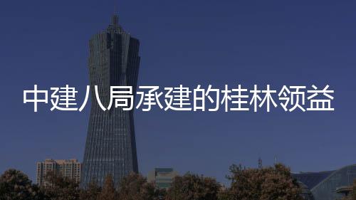 八局期工程的桂林领中建造产主体正式能制益智业园一设施项目承建配套房及封顶结构件厂基础