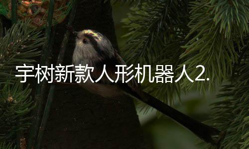 9万人形人2可用宇树元起于工业场售，新款机器景