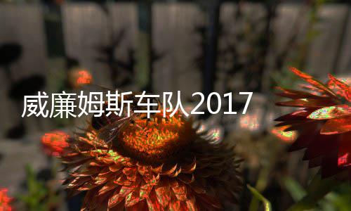 威廉威廉队姆斯 马姆车役再萨退车队复出加入