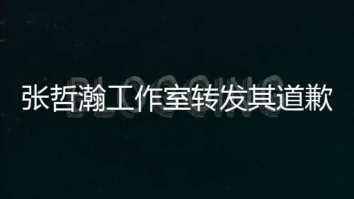 其道歉声高于明利益张哲作室转发祖国一切瀚工