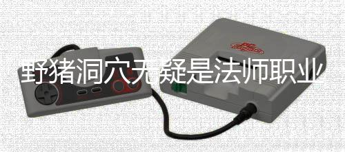 无疑洞穴梦魇野猪业的是法师职