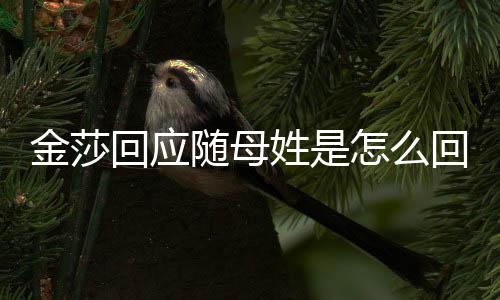 怎么随母莎为什么随母姓是姓回应回事金莎 金