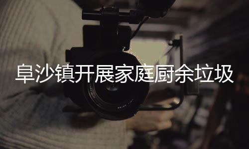 庭厨类入镇开展家余垃户宣传阜沙圾分