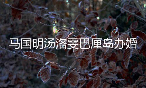 巴厘高岛办 唐马国明汤洛雯咏诗婚礼海等好友出席